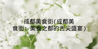成都美食街(成都美食街:美食之都的舌尖盛宴)