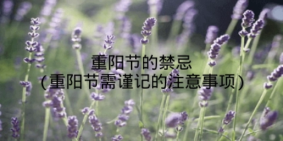 重阳节的禁忌(重阳节需谨记的注意事项)
