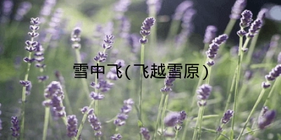 雪中飞(飞越雪原)