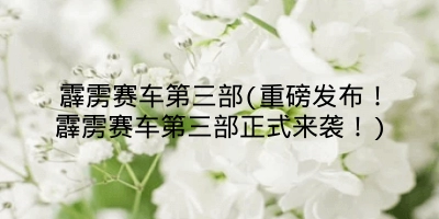 霹雳赛车第三部(重磅发布!霹雳赛车第三部正式来袭!)