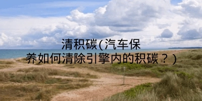 清积碳(汽车保养如何清除引擎内的积碳？)
