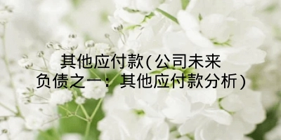 其他应付款(公司未来负债之一:其他应付款分析)