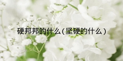 硬邦邦的什么(坚硬的什么)
