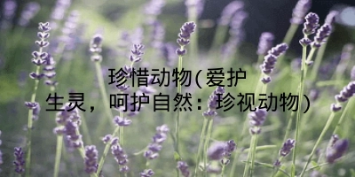 珍惜动物(爱护生灵,呵护自然:珍视动物)