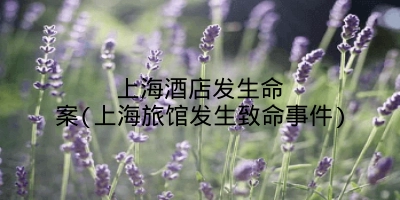 上海酒店发生命案(上海旅馆发生致命事件)
