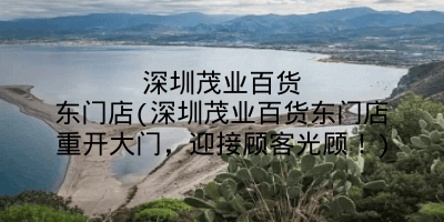 深圳茂业百货东门店(深圳茂业百货东门店重开大门,迎接顾客光顾!)