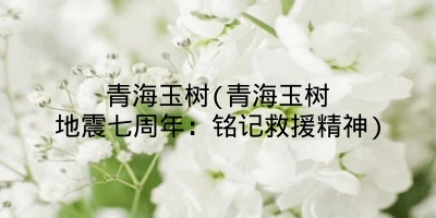 青海玉树(青海玉树地震七周年:铭记救援精神)