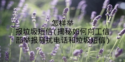 怎样举报垃圾短信(揭秘如何向工信部举报骚扰电话和垃圾短信)