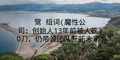 鸳 组词(魔性公司:创始人13年前被人砍30刀,仍带领团队开拓未来)