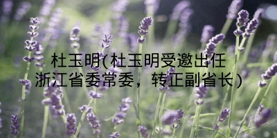 杜玉明(杜玉明受邀出任浙江省委常委,转正副省长)