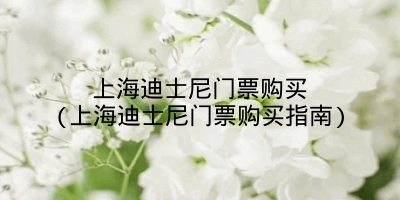 上海迪士尼门票购买(上海迪士尼门票购买指南)