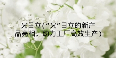 火日立(“火”日立的新产品亮相,助力工厂高效生产)