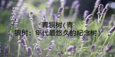 青铜树(青铜树：年代最悠久的纪念树)
