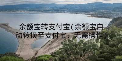 余额宝转支付宝(余额宝自动转换至支付宝,无需操作)