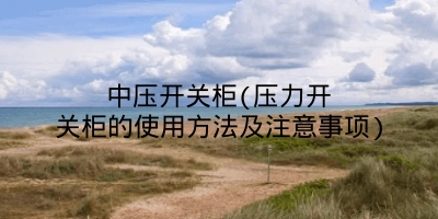 中压开关柜(压力开关柜的使用方法及注意事项)