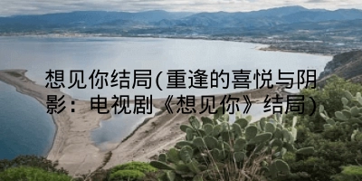 想见你结局(重逢的喜悦与阴影:电视剧《想见你》结局)