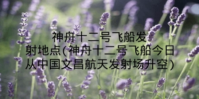 神舟十二号飞船发射地点(神舟十二号飞船今日从中国文昌航天发射场升空)