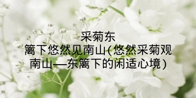 采菊东篱下悠然见南山(悠然采菊观南山——东篱下的闲适心境)