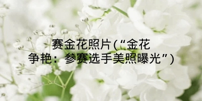 赛金花照片(“金花争艳：参赛选手美照曝光”)