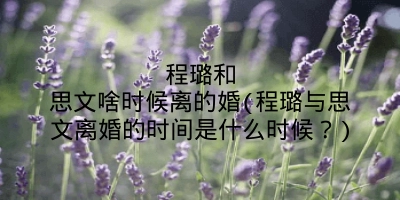程璐和思文啥时候离的婚(程璐与思文离婚的时间是什么时候？)