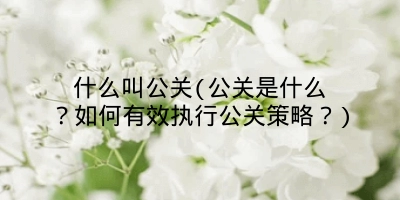 什么叫公关(公关是什么？如何有效执行公关策略？)