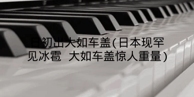 日初出大如车盖(日本现罕见冰雹 大如车盖惊人重量)