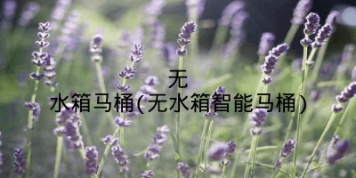 无水箱马桶(无水箱智能马桶)