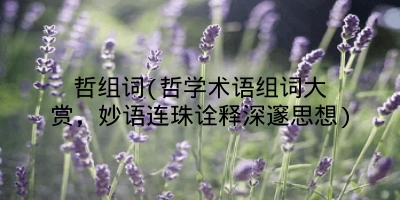 哲组词(哲学术语组词大赏,妙语连珠诠释深邃思想)