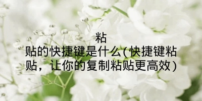 粘贴的快捷键是什么(快捷键粘贴,让你的复制粘贴更高效)