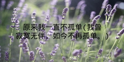 原来我一直不孤单(我曾寂寞无伴,如今不再孤单。)