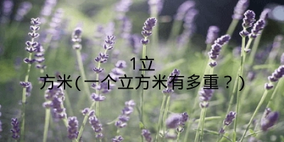 1立方米(一个立方米有多重?)
