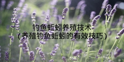 钓鱼蚯蚓养殖技术(养殖钓鱼蚯蚓的有效技巧)