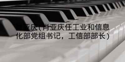 肖亚庆(肖亚庆任工业和信息化部党组书记，工信部部长)