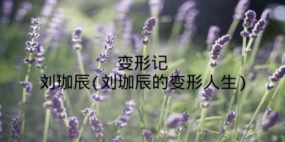 变形记刘珈辰(刘珈辰的变形人生)