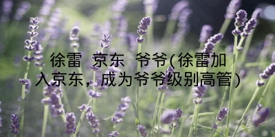 徐雷 京东 爷爷(徐雷加入京东,成为爷爷级别高管)