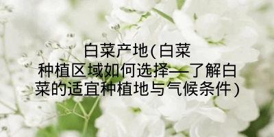 白菜产地(白菜种植区域如何选择——了解白菜的适宜种植地与气候条件)