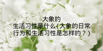 大象的生活习性是什么(大象的日常行为和生活习性是怎样的？)