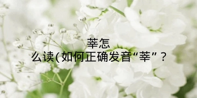 莘怎么读(如何正确发音“莘”？