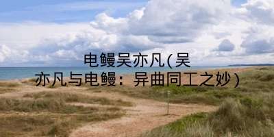 电鳗吴亦凡(吴亦凡与电鳗:异曲同工之妙)