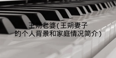 王朔老婆(王朔妻子的个人背景和家庭情况简介)