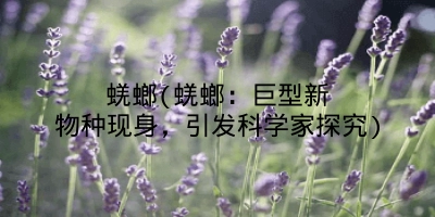 蜣螂(蜣螂:巨型新物种现身,引发科学家探究)