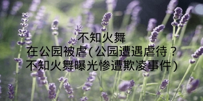 不知火舞在公园被虐(公园遭遇虐待?不知火舞曝光惨遭欺凌事件)