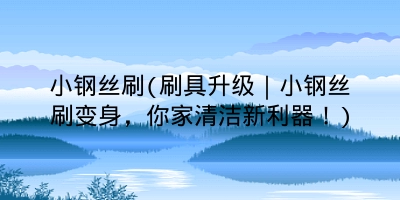 小钢丝刷(刷具升级|小钢丝刷变身,你家清洁新利器!)