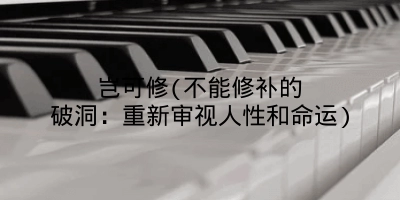 岂可修(不能修补的破洞:重新审视人性和命运)