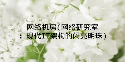 网络机房(网络研究室:现代IT架构的闪亮明珠)