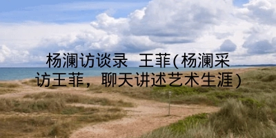 杨澜访谈录 王菲(杨澜采访王菲，聊天讲述艺术生涯)