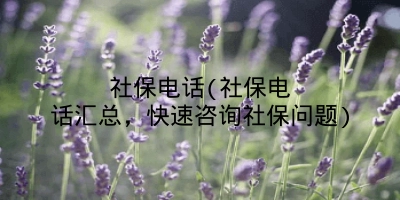 社保电话(社保电话汇总,快速咨询社保问题)