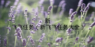 新飞飞任务(新飞飞任务大全)