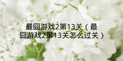 最囧游戏2第13关(最囧游戏2第13关怎么过关)