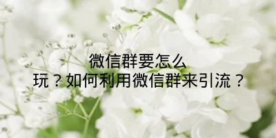 微信群要怎么玩?如何利用微信群来引流?